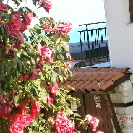 Emona